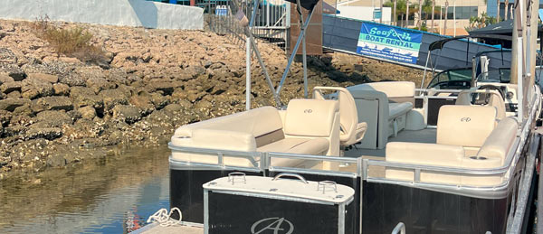 A sleek black pontoon boat with beige seating is docked beside rocky shore, with a boat rental sign displayed in the background.