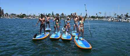 Several individuals paddle boarding together in the water, provided by Seaforth Boat Rentals.