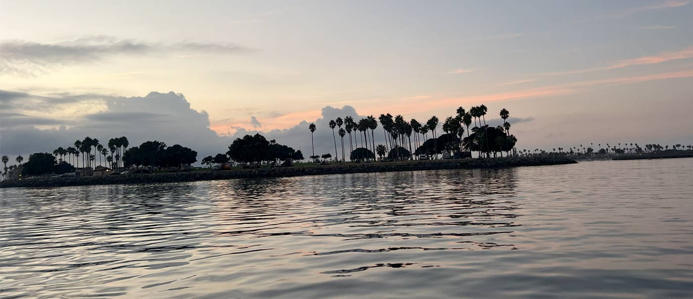 A picturesque view of water, palm trees, and clouds