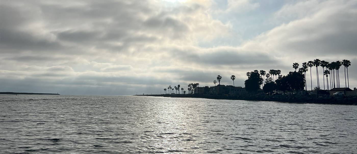 A serene body of water surrounded by palm trees and clouds