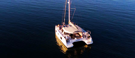 A catamaran sailing gracefully in the ocean, offered by Seaforth Boat Rentals.