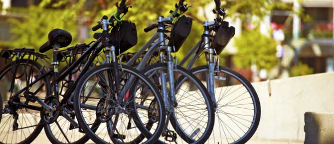 seaforth boat rentals bike rentals